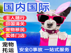 玉龙机场托运国际宠物托运 【国